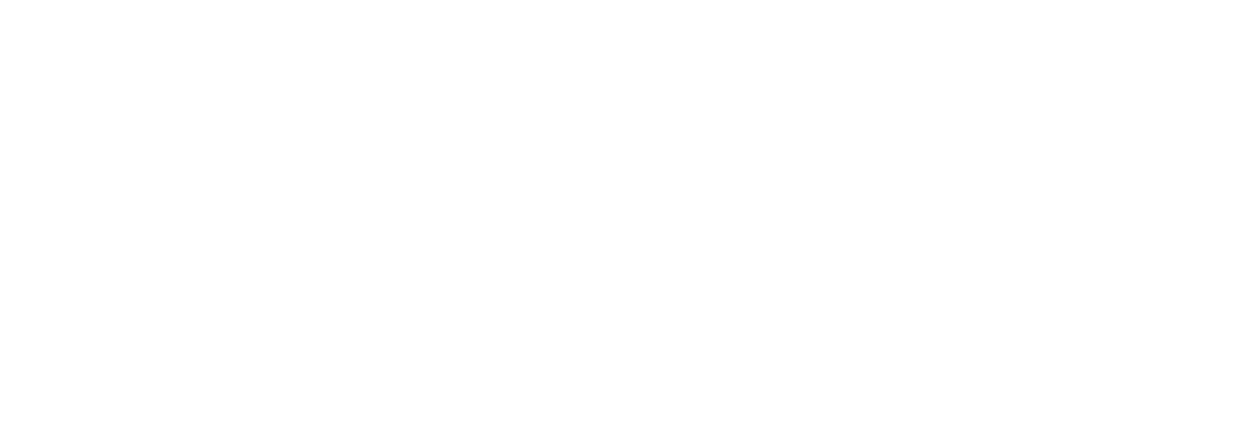 Yaşar Group