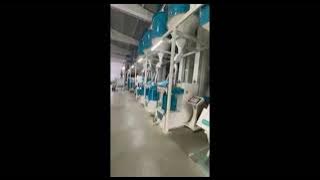 #Uzbekistan #paddy #rice #ricemill #ricemachine #graindryer Fully Automatic Rice Mill Plant | Rice