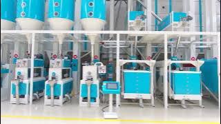 20 TPH Modern rice mill | Fully automatic rice mill #ricemill #rice #ricemachine #ricepolisher