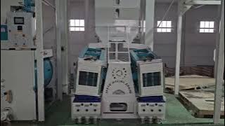 Yasar seed sorting factory in #colorsorter #machine #ricemill #seed #tohum eleme tesisi