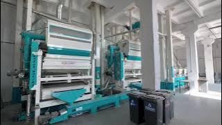 #bezelye işleme ve Mercimek eleme tesisi #pea processing plant #lentil processing plant #colorsorter