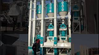 #kazakhstan #Rice mill factory full automation 5 tons per hour #ricemill #graindryer