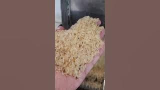 #nigeria #Rice mill factory full automation 20 tons per hour #çeltik ve pirinç işleme makinaları