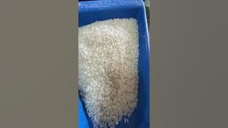 #paddy #rice #rice mill #ricemachine #Yasar Color Sorter for Rice #Pirinç Renk Ayırıcı #color sorter